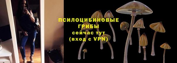 соль курить ск Карпинск