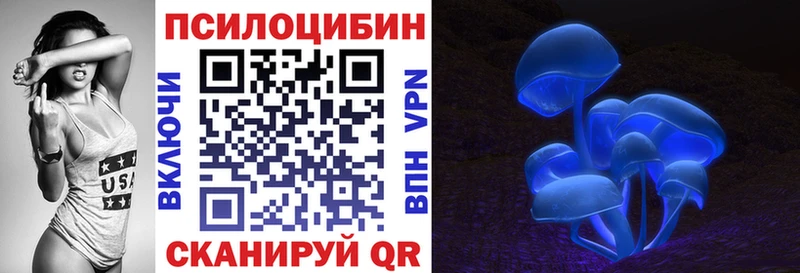 Купить  Кудрово  Галлюциногенные грибы Magic Shrooms 